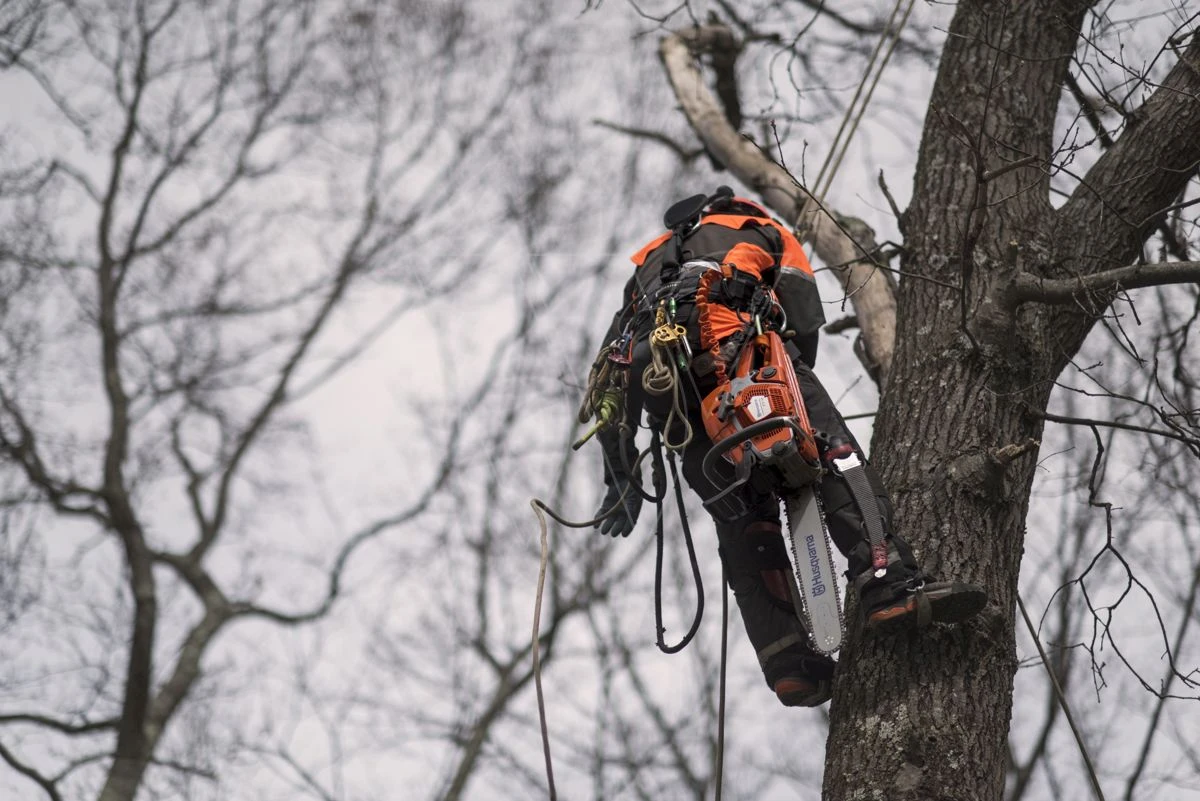 Husqvarna 572xpg Kettingzaag -50cm 5.9pk 16 Husqvarna 572xpg Kettingzaag -50cm 5.9pk - Afbeelding 16