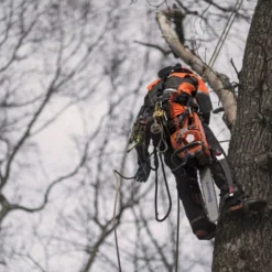 Husqvarna 572xp Kettingzaag - 45cm 5.9pk 34 Husqvarna 572xp Kettingzaag - 45cm 5.9pk -Exporteren Groen Lust Winkel 572XP 25 Husqvarna20Kettingzaag20572XP