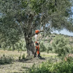 Husqvarna Stokzaag 525p4s 240cm 1.4pk -Exporteren Groen Lust Winkel 967329401 5 Husqvarna20stokzaag20240cm