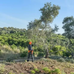 Husqvarna 530ip4 Accu Stokzaag Ex. Accu -Exporteren Groen Lust Winkel 967884711 3 Husqvarna20accu20stok20zaag20536lip4