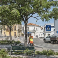 Husqvarna 530ipt5 Accu Stokzaag Ex.accu 5 Husqvarna 530ipt5 Accu Stokzaag Ex.accu -Exporteren Groen Lust Winkel 967884811 3 Husqvarna20accu20stokzaag20536lipt5