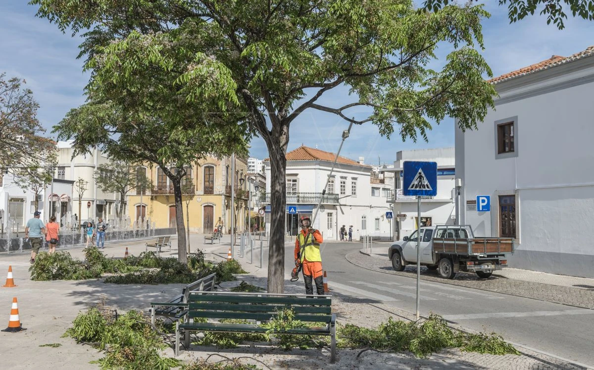 Husqvarna 530ipt5 Accu Stokzaag Ex.accu 3 Husqvarna 530ipt5 Accu Stokzaag Ex.accu - Afbeelding 3