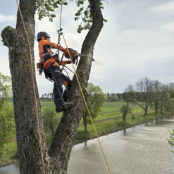 Husqvarna T540xp Mark Iii Klimzaag 30cm 16 Husqvarna T540xp Mark Iii Klimzaag 30cm -Exporteren Groen Lust Winkel 970517912 6 HUSQVARNA20T540XP20MARK20III20BOOMZAAG2030CM