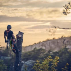 Husqvarna T540xp Mark Iii Klimzaag 30cm 17 Husqvarna T540xp Mark Iii Klimzaag 30cm -Exporteren Groen Lust Winkel 970517912 7 HUSQVARNA20T540XP20MARK20III20BOOMZAAG2030CM