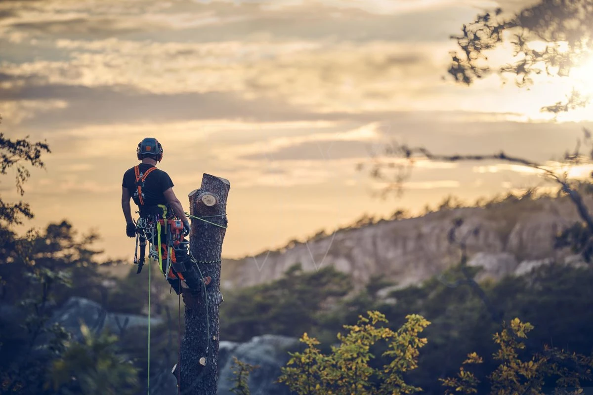 Husqvarna T540xp Mark Iii Klimzaag 30cm 8 Husqvarna T540xp Mark Iii Klimzaag 30cm - Afbeelding 8