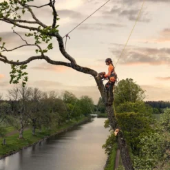 Husqvarna T540xp Mark Iii Klimzaag 30cm 18 Husqvarna T540xp Mark Iii Klimzaag 30cm -Exporteren Groen Lust Winkel 970517912 8 HUSQVARNA20T540XP20MARK20III20BOOMZAAG2030CM