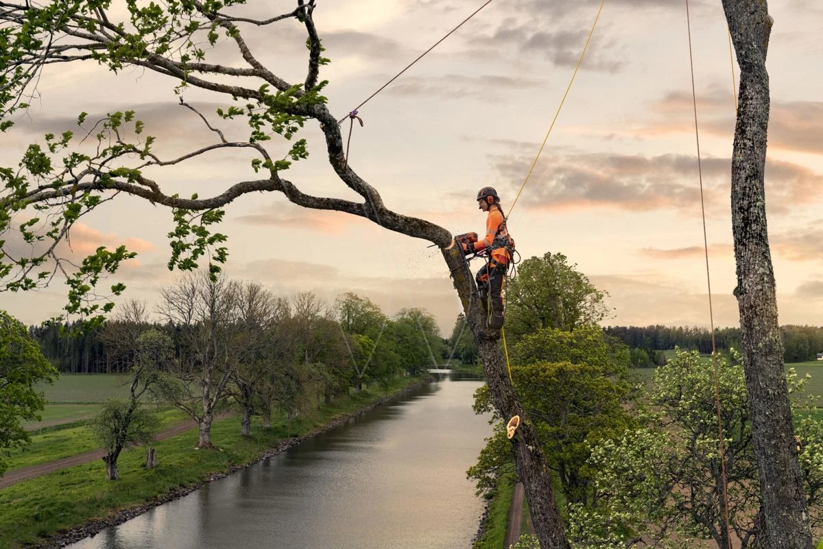 Husqvarna T540xp Mark Iii Klimzaag 30cm 9 Husqvarna T540xp Mark Iii Klimzaag 30cm - Afbeelding 9