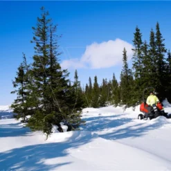 Husqvarna P520dx Zitmaaier Diesel -Exporteren Groen Lust Winkel Husqvarna20Rider20P52020D20918