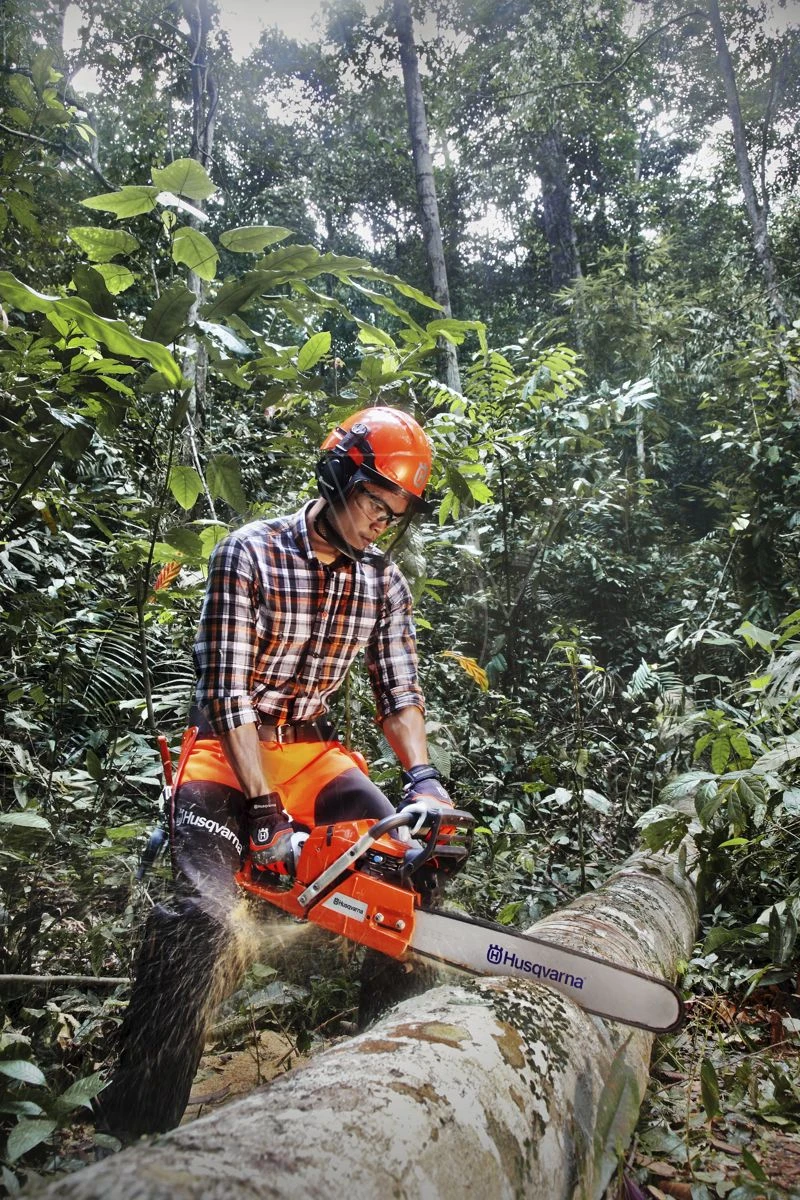 Exporteren Groen Lust Winkel -Exporteren Groen Lust Winkel 1