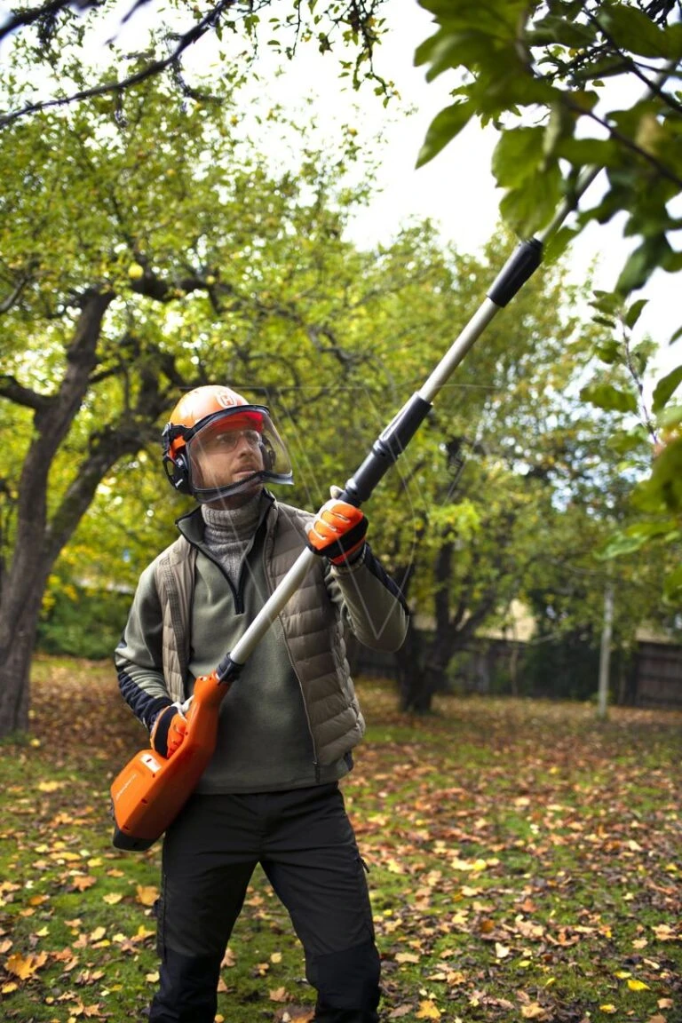 Exporteren Groen Lust Winkel -Exporteren Groen Lust Winkel 2