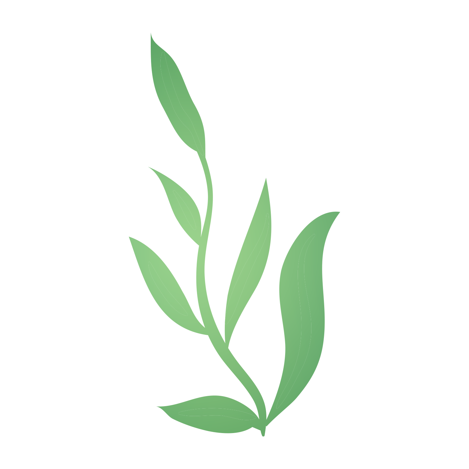 Exporteren Groen Lust Winkel